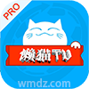 懒猫TV