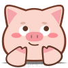 小猪4K